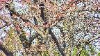 takano4-20250501082101.jpg