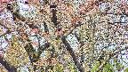 takano4-20250501083100.jpg