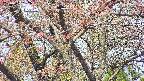 takano4-20250501092059.jpg