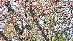 takano4-20250501093059.jpg