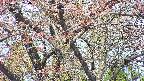 takano4-20250501094058.jpg