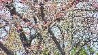 takano4-20250501095057.jpg