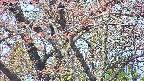 takano4-20250501101058.jpg
