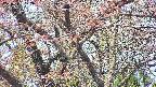 takano4-20250501102057.jpg
