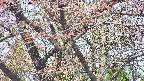 takano4-20250501104058.jpg