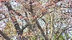 takano4-20250501111059.jpg