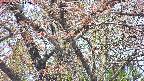 takano4-20250501112059.jpg