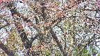 takano4-20250501113101.jpg