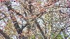 takano4-20250501114058.jpg