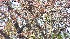 takano4-20250501115058.jpg
