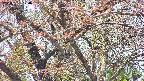 takano4-20250501120100.jpg