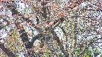 takano4-20250501121101.jpg