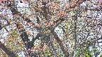 takano4-20250501123059.jpg