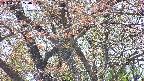 takano4-20250501124059.jpg
