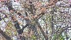 takano4-20250501125059.jpg