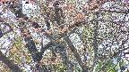 takano4-20250501130059.jpg