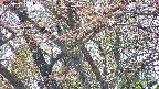 takano4-20250501131057.jpg