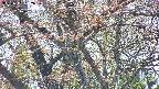 takano4-20250501132059.jpg