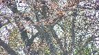takano4-20250501140057.jpg