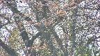 takano4-20250501142100.jpg