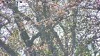 takano4-20250501143057.jpg