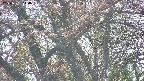 takano4-20250501144100.jpg