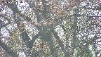 takano4-20250501145057.jpg