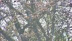 takano4-20250501150059.jpg