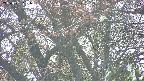 takano4-20250501151056.jpg