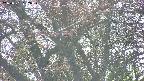 takano4-20250501152058.jpg