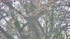 takano4-20250501153056.jpg