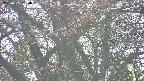 takano4-20250501154057.jpg