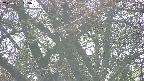 takano4-20250501155056.jpg