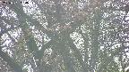 takano4-20250501160059.jpg