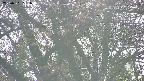 takano4-20250501161057.jpg