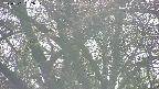 takano4-20250501162058.jpg