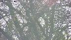 takano4-20250501163057.jpg