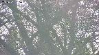 takano4-20250501165057.jpg