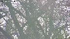 takano4-20250501170058.jpg