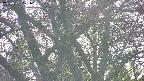 takano4-20250501171058.jpg