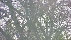 takano4-20250501172058.jpg