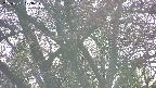 takano4-20250501173058.jpg