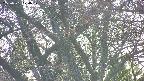 takano4-20250501174058.jpg