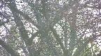 takano4-20250501175057.jpg
