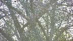 takano4-20250501180059.jpg