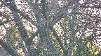 takano4-20250501182058.jpg