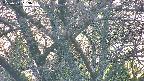 takano4-20250501183056.jpg