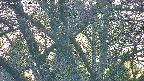 takano4-20250501184058.jpg