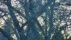 takano4-20250501185057.jpg