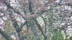 takano4-20250502051056.jpg